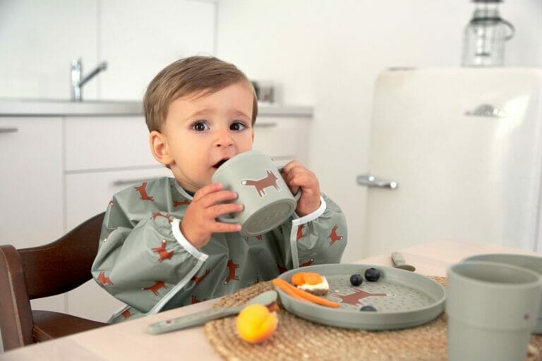 Lässig Podbradnjak dugih rukava 2 kom Little Forest Lisica 6-24 mj