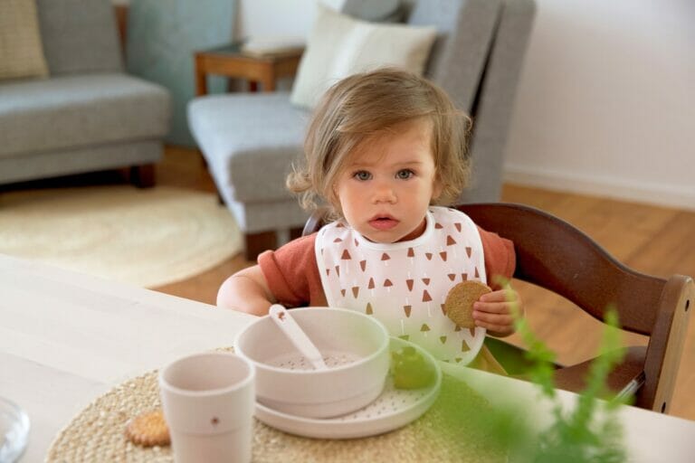 Lässig Set Podbradnjaka 5 kom assorted Little Forest Zec