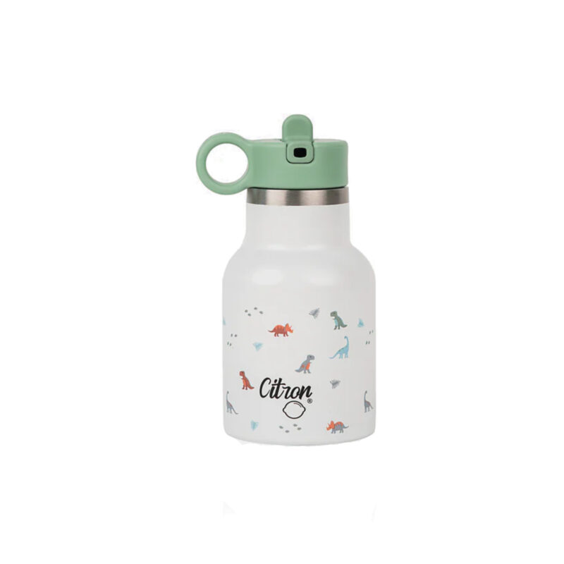 Citron 250ml Boca za vodu Dino Green Original Collection
