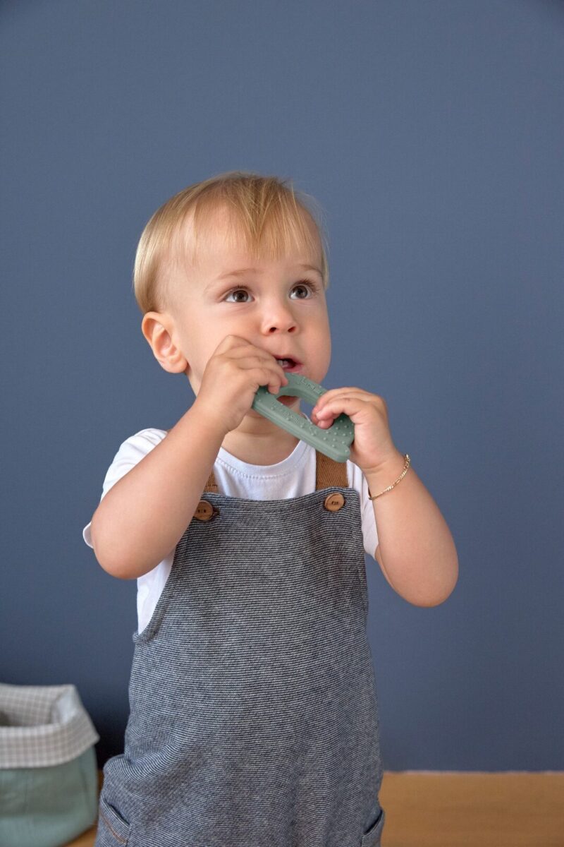Lässig Snack Silicone Garden Explorer Polž 0-18 mesecev. - slika 5