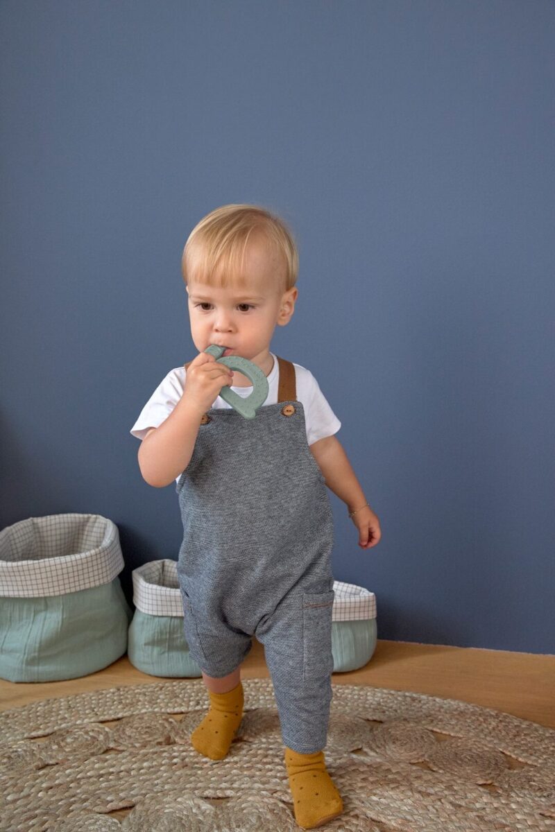 Lässig Snack Silicone Garden Explorer Polž 0-18 mesecev. - slika 6