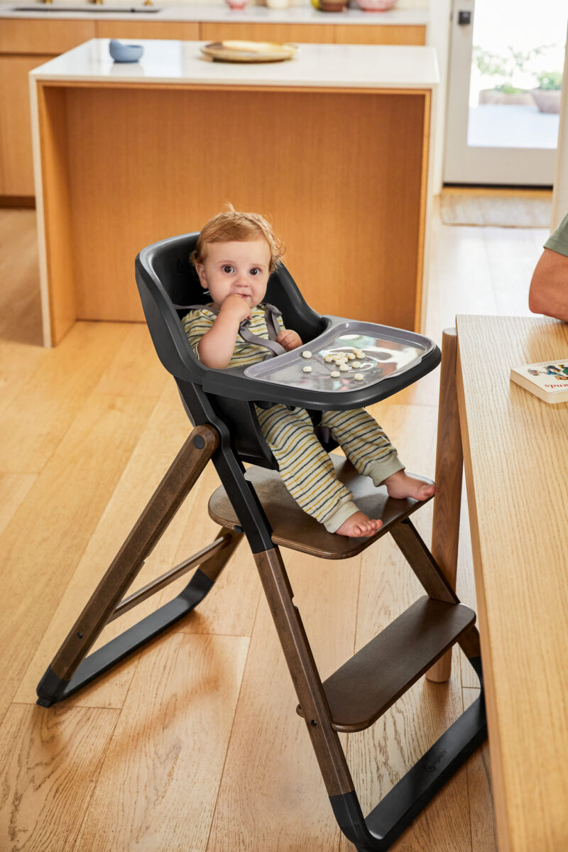 Ergobaby Evolve hranilica 2u1 Dark Wood - IZLOŽBENI PROIZVOD - Slika 8