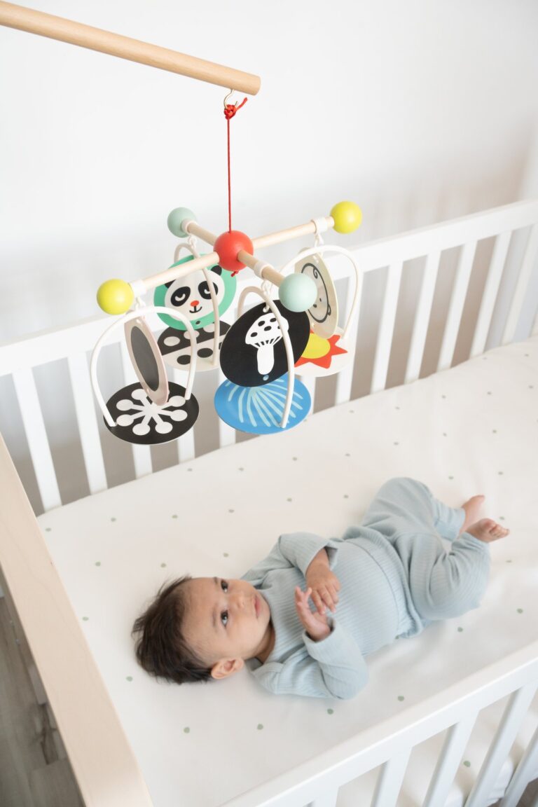Manhattan Toy Wimmer Stim To Go viseća igračka